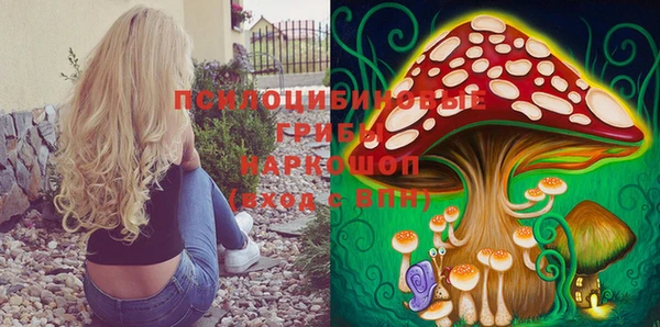 PSILOCYBIN Белоозёрский