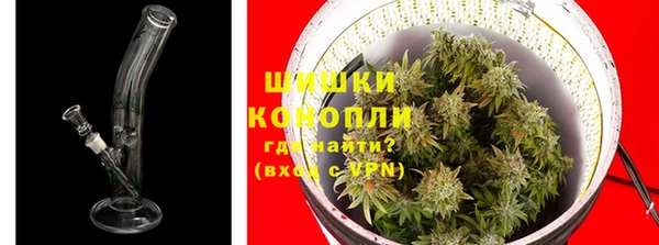 PSILOCYBIN Белоозёрский