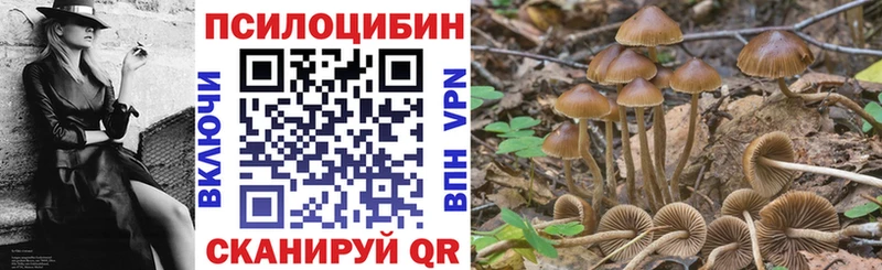 Купить  Сухой Лог  Псилоцибиновые грибы мицелий 